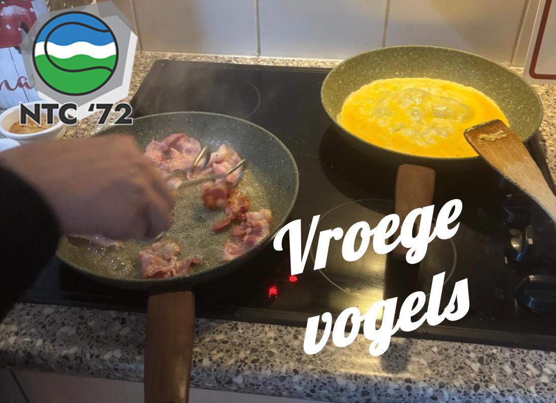 Vroege vogels